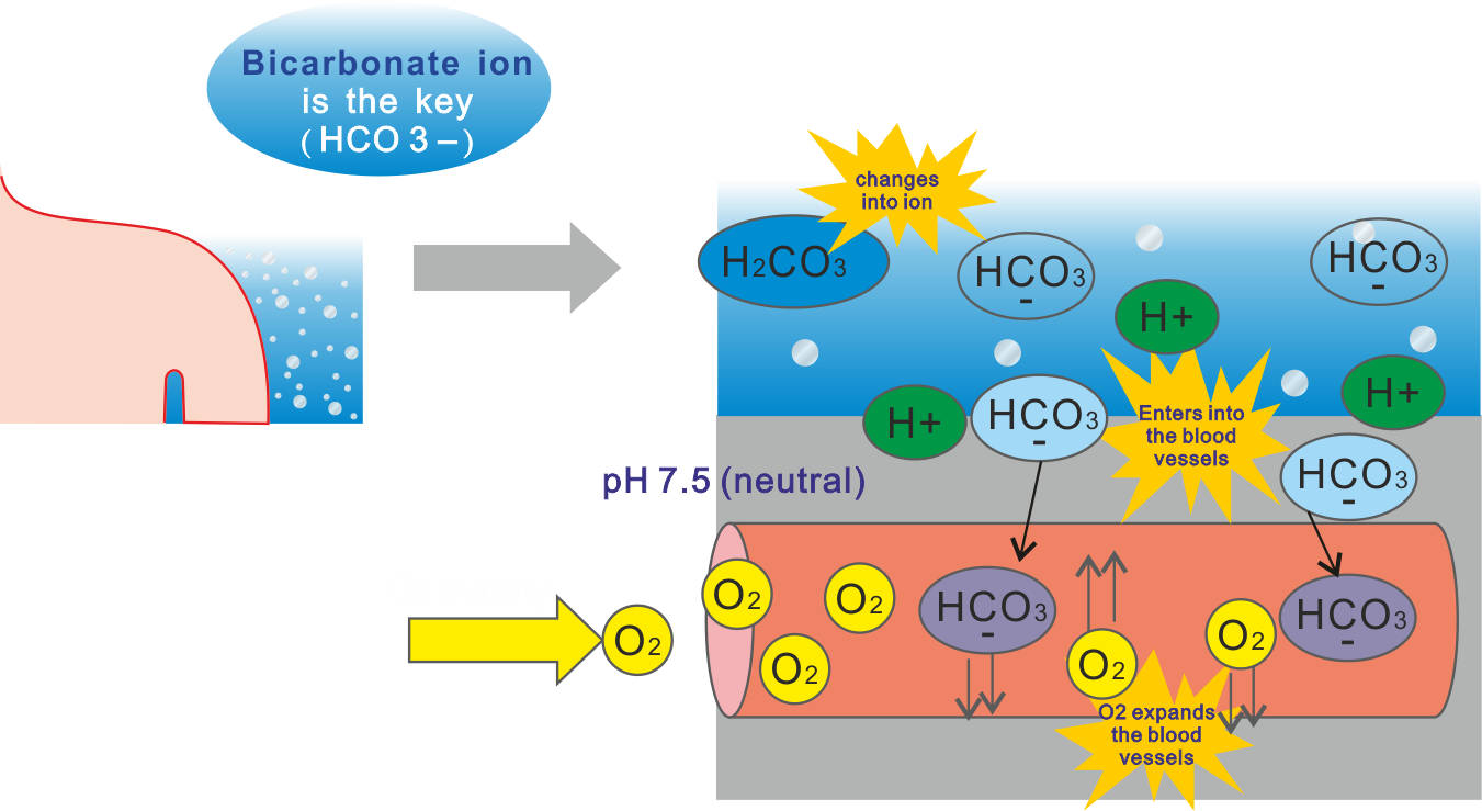 co2-5.png