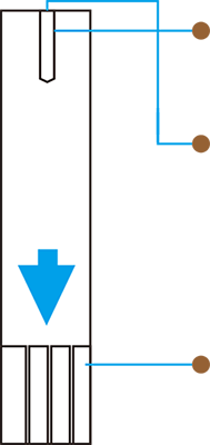 The Test Strip consists of the following components: